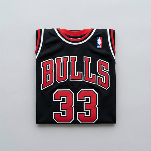 Scottie Pippen 2003-04 Chicago Bulls Tip-Off Swingman Jersey