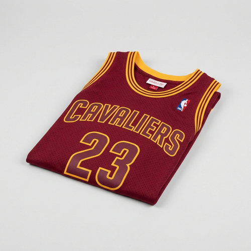 LeBron James 2015-16 Cleveland Cavaliers Swingman Jersey