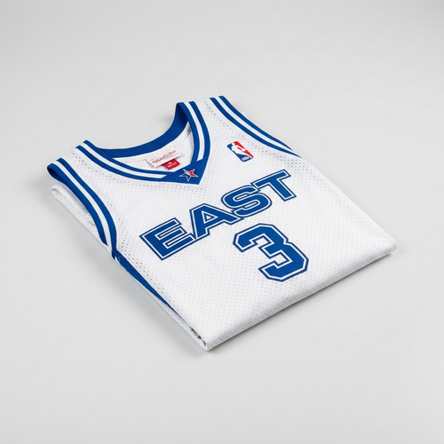 Allen Iverson 2002 All-Star East Authentic Jersey